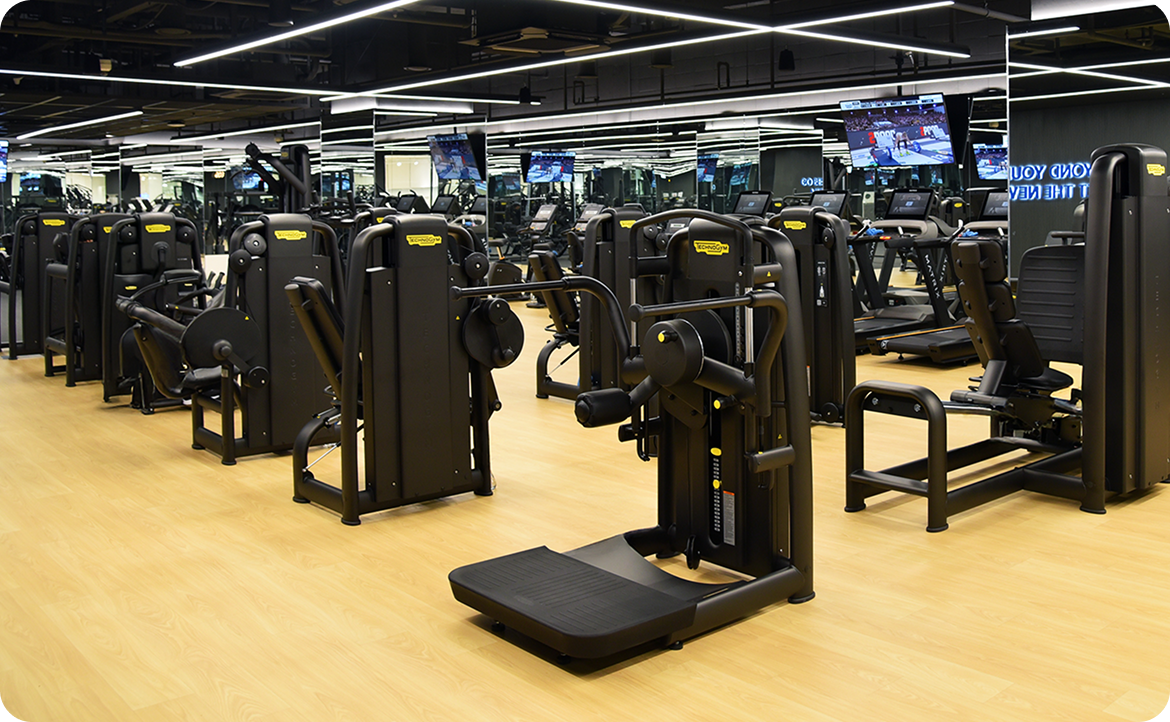 GYM 헬스